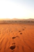 footprints in sand, Sossusvlei, Namibia